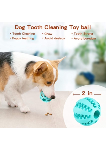 Yeşil 5 cm Köpek Dişi Temizleme Topu Gıda Ekstra Sert Doğal Lastik Toplar Yumuşak Evcil Hayvan Oyuncak Komik Interaktif Esneklik Top Köpekler Çiğneme Oyuncağı (Yurt Dışından) modelleri