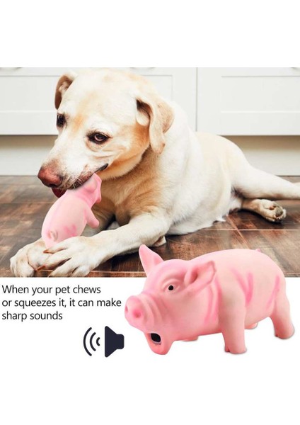 Pembe 1 Adet Sevimli Kauçuk Ses Domuz Grunting Squeak Lateks Pet Çiğnemek Oyuncaklar Köpek Squeaker Çiğnemek Eğitim Köpek Malzemeleri Evcil Hayvan Ürünleri (Yurt Dışından) indirimleri