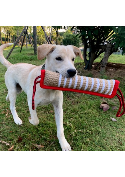 A2 Isırmaya Dayanıklı Köpek Halat Oyuncak Keten Pet Interaktif Sopa Tasarım Köpek Çiğneme Halatı Yavru Diş Çıkarma Oyuncak Evcil Hayvan Malzemeleri Köpek Yavrusu Şekerleri (Yurt Dışından) fırsatları