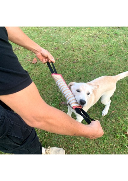 A2 Isırmaya Dayanıklı Köpek Halat Oyuncak Keten Pet Interaktif Sopa Tasarım Köpek Çiğneme Halatı Yavru Diş Çıkarma Oyuncak Evcil Hayvan Malzemeleri Köpek Yavrusu Şekerleri (Yurt Dışından) indirimleri