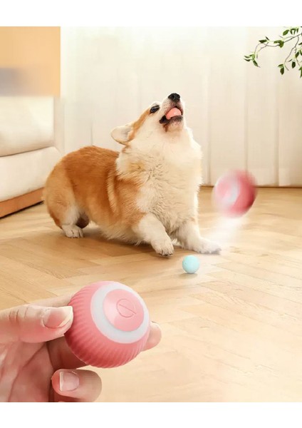Pembe Elektrikli Köpek Topu Oyuncaklar Otomatik Haddeleme Akıllı Köpek Oyuncakları Köpekler Için Eğitim Kendinden Hareketli Pet Köpek Oyuncakları Kapalı Interaktif Playı Kaynağı (Yurt Dışından)