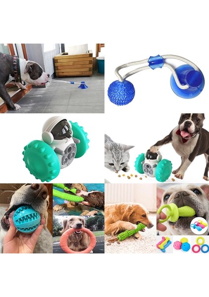 5 Renk Molar Halka Köpek Oyuncakları Interaktif Vantuz Itme Tpr Topu Oyuncaklar Pet Köpek Molar Bite Oyuncak Elastik Halatlar Köpek Diş Temizleme Çiğneme Malzemeleri (Yurt Dışından)