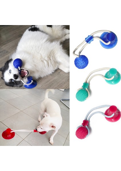 5 Renk Molar Halka Köpek Oyuncakları Interaktif Vantuz Itme Tpr Topu Oyuncaklar Pet Köpek Molar Bite Oyuncak Elastik Halatlar Köpek Diş Temizleme Çiğneme Malzemeleri (Yurt Dışından)