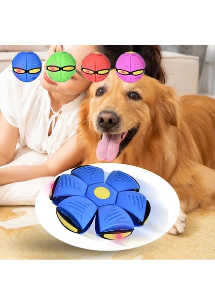 Kırmızı Pet Köpek Oyuncakları Uçan Daire Topu Sihirli Deformasyon Ufo Oyuncaklar Açık Spor Köpek Eğitim Ekipmanları Köpek Oyun Uçan Disk (Yurt Dışından)