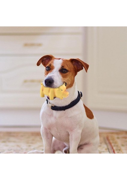 Gri Cırlak Domuz Köpek Oyuncakları Köpek Cırlak Oyuncak Lateks Köpek Çiğneme Oyuncakları Oinks Sesli Squeaker Grunting Domuz Köpek Oyuncak Lateks Homurdanan Domuz (Yurt Dışından) modelleri