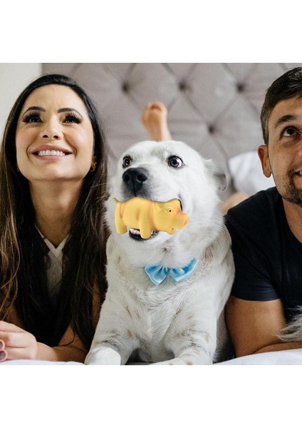 Gri Cırlak Domuz Köpek Oyuncakları Köpek Cırlak Oyuncak Lateks Köpek Çiğneme Oyuncakları Oinks Sesli Squeaker Grunting Domuz Köpek Oyuncak Lateks Homurdanan Domuz (Yurt Dışından) fırsatları