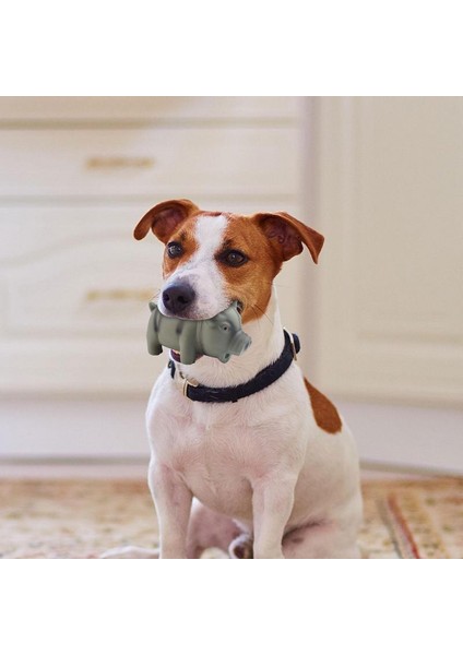 Gri Cırlak Domuz Köpek Oyuncakları Köpek Cırlak Oyuncak Lateks Köpek Çiğneme Oyuncakları Oinks Sesli Squeaker Grunting Domuz Köpek Oyuncak Lateks Homurdanan Domuz (Yurt Dışından) indirimleri