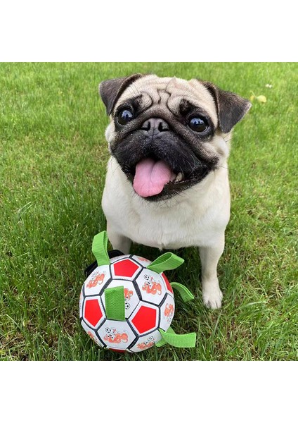 Siyah Pompasız Kommılıfe Interaktif Futbol Oyuncak Köpekler Için Açık Hava Eğitimi Futbol Evcil Köpek Oyuncakları Köpek Isırık Çiğneme Oyuncak Orta Büyük Köpek Topu Oyuncakları (Yurt Dışından)
