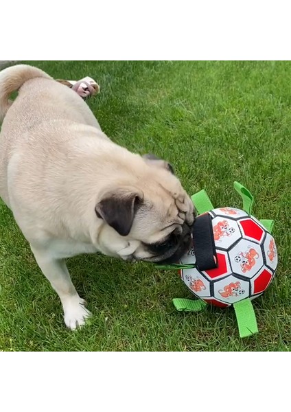 Siyah Pompasız Kommılıfe Interaktif Futbol Oyuncak Köpekler Için Açık Hava Eğitimi Futbol Evcil Köpek Oyuncakları Köpek Isırık Çiğneme Oyuncak Orta Büyük Köpek Topu Oyuncakları (Yurt Dışından)