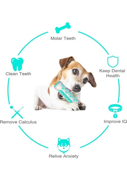 Mavi Köpek Molar Diş Fırçası Oyuncakları Çiğneme Temizleme Dişleri Güvenli Esneklik Yumuşak Tpr Köpek Diş Bakımı Ekstra Sert Pet Temizleme Oyuncak Malzemeleri (Yurt Dışından)