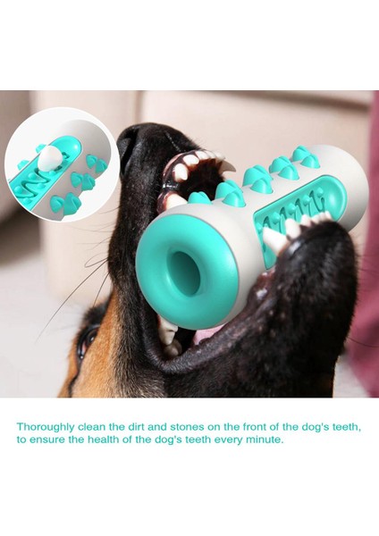 Mavi Köpek Molar Diş Fırçası Oyuncakları Çiğneme Temizleme Dişleri Güvenli Esneklik Yumuşak Tpr Köpek Diş Bakımı Ekstra Sert Pet Temizleme Oyuncak Malzemeleri (Yurt Dışından)
