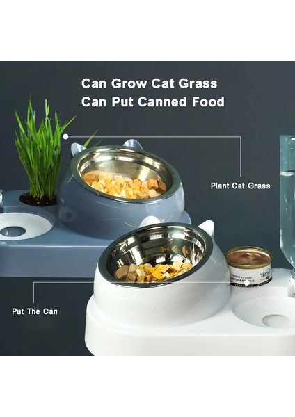 Paslanmaz Kase Yeşil Surrunme Paslanmaz Çelik Veya Seramik Kase Kedi Çift Köpek Kasesi Otomatik Su Tiryakisi Mama Besleyici Dağıtıcı Evcil Hayvan Yiyecek Içecek (Yurt Dışından) fırsatları