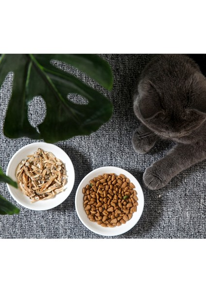 Beyaz S Yeni Yaratıcı Sevimli Kedi Küçük Tabak Şekli Mini Plaka Seramik Karikatür Tabak Yaratıcı Atıştırma Tabağı Chinchilla Sincap Kirpi Kase (Yurt Dışından) fiyatları