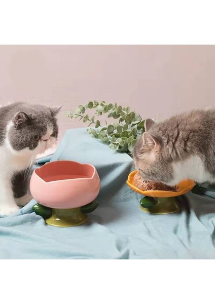 D Seramik Kedi Kase Çiçek Şekli Kedi Pirinç Kasesi Yüksek Ayak Boyun Koruma Yiyecek Kasesi Kaymaz Köpek Besleyici Köpek Su Kasesi Evcil Hayvan Malzemeleri (Yurt Dışından) modelleri