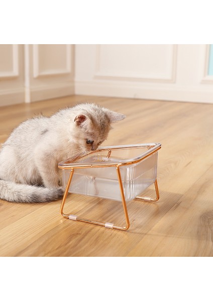 Çift Kase Kedi Çift Kase Eğimli Yükseltilmiş Pet Besleme Su Kasesi Metal Standlı Koruma Servikal Kaymaz Besleyici Çanak Köpek Malzemeleri Için (Yurt Dışından) modelleri