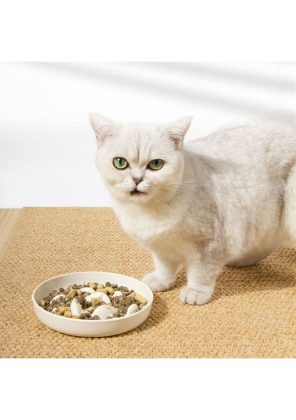 Pembe-S Kedi Köpek Yavaş Yiyecek Kasesi Evcil Hayvan Sağlıklı Boğulma Önleyici Muppet Yavaş Yavaş Yeme Besleyici Bulaşık Sağlıklı Kalınlaşmış Kaymaz Büyük Kapasiteli (Yurt Dışından) indirimleri