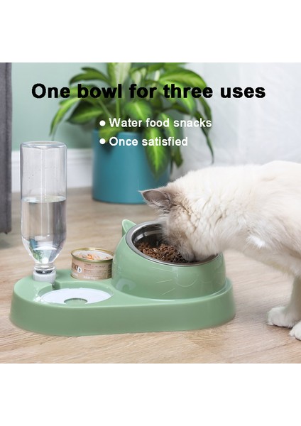 Seramik Kase Mor Surrunme Paslanmaz Çelik Veya Seramik Kase Kedi Çift Köpek Kasesi Otomatik Su Tiryakisi Mama Besleyici Dağıtıcı Evcil Hayvan Yiyecek Içecek (Yurt Dışından) modelleri