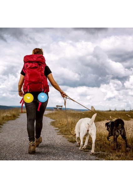 Gül Kırmızı 350 ml Katlanabilir Pet Silikon Köpek Maması Su Kasesi Açık Kamp Seyahat Karabina ile Taşınabilir Katlanır Hayvan Kase Yemekleri Evcil Hayvan Ürünleri (Yurt Dışından) modelleri