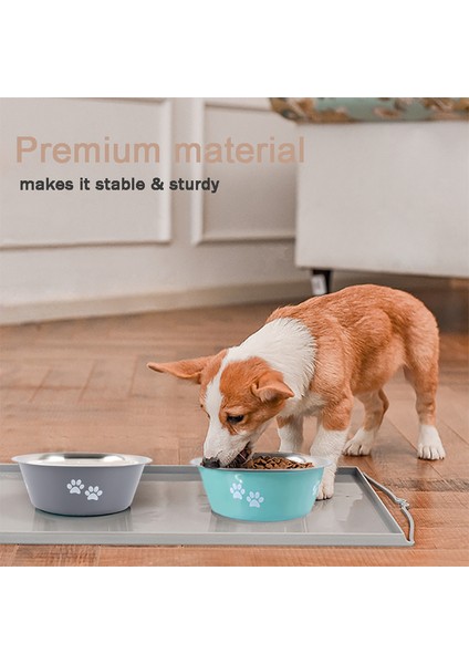 Yeşil 860 ml Kaymaz Köpek Kaseleri Küçük Orta Büyük Köpek Besleyici Kaseler Içenler Paslanmaz Çelik Yüksek Kapasiteli Evcil Hayvan Besleyiciler Köpekler Aksesuarları (Yurt Dışından) indirimleri