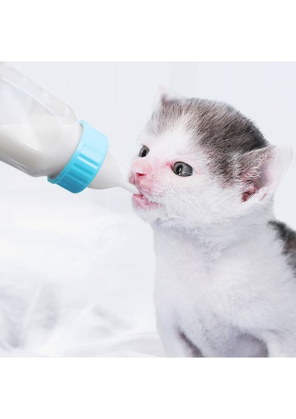 Mavi G654 120 ml Pet Süt Şişesi Yavru Kedi Besleyici Ölçekli Pet Emzik Şişe Seti Emzik Isırmaya Dayanıklı Köpek Besleme Malzemeleri (Yurt Dışından)