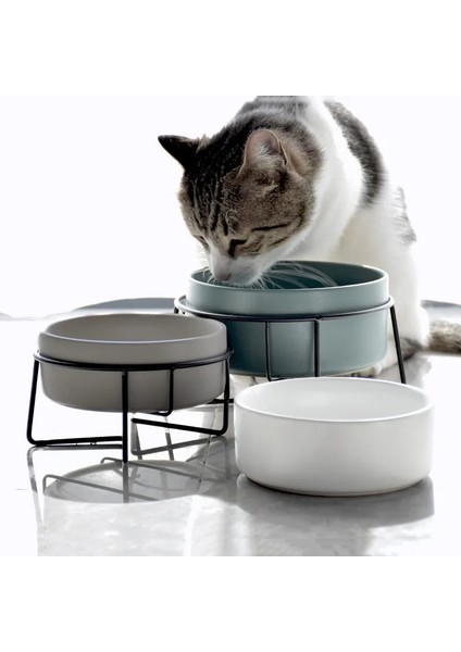 Pembe 850 ml Çift Kedi Maması Su Kaseleri Standı ile Seramik Pet Besleme Aksesuarları Kediler Küçük Köpekler Yemek Içecek Malzemeleri Köpek Besleyici Kase (Yurt Dışından)