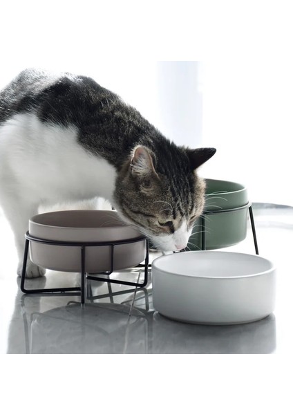 Pembe 850 ml Çift Kedi Maması Su Kaseleri Standı ile Seramik Pet Besleme Aksesuarları Kediler Küçük Köpekler Yemek Içecek Malzemeleri Köpek Besleyici Kase (Yurt Dışından) modelleri