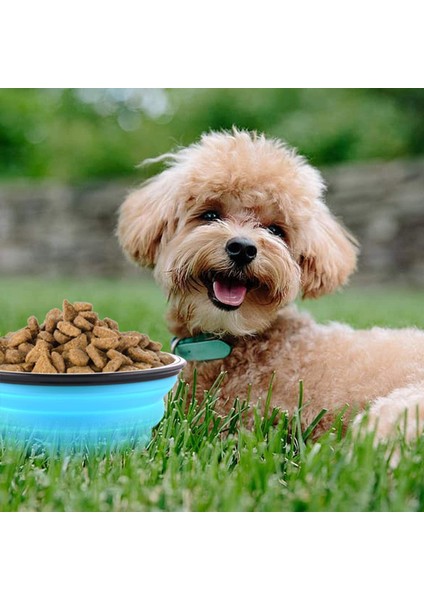Mavi 350 ml Katlanabilir Evcil Hayvan Kaseleri Silikon Köpek Kase Seyahat Yürüyüş Için Taşınabilir Su Kasesi Köpekler Için Katlanabilir Yiyecek Tabağı Karabina ile (Yurt Dışından) indirimleri