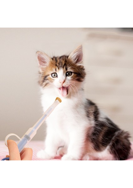 Kırmızı Pet Ilaç Şırınga Tablet Hap Tabancası Piller Itme Dağıtıcı Ilaç Su Süt Şırınga Köpek Kedi Yavrusu Besleyici Kiti Köpek Aksesuarları (Yurt Dışından) modelleri