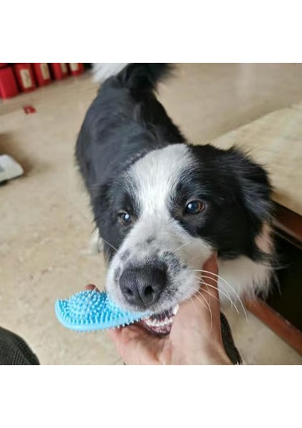 14 Resim Olarak Köpekler Için Güvenlik Kauçuk Diş Çıkarma Sopa Isırmaya Dayanıklı Pet Çiğneme Oyuncakları Küçük Orta Köpek Pomeranian Bichon Köpek Pet Aksesuarları (Yurt Dışından) modelleri
