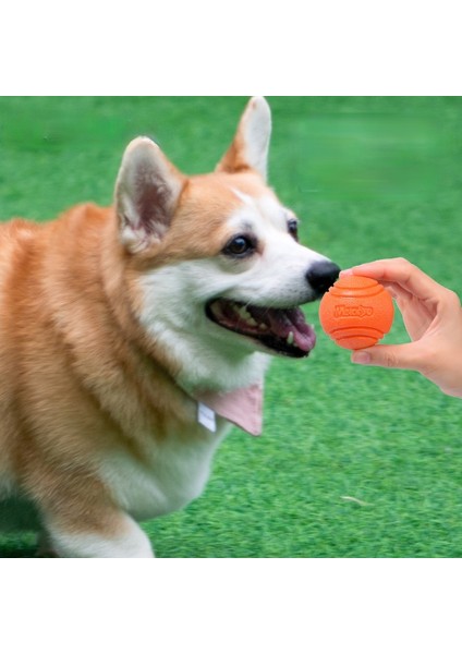 Mavi Xl-8cm Köpek Topu Yıkılmaz Çiğneme Kabarık Lastik Top Oyuncaklar Pet Köpek Oyuncak Topu Dize ile Büyük Köpek Yavrusu Oyunları Için Interaktif Oyuncaklar Oyuncaklar (Yurt Dışından) indirimleri