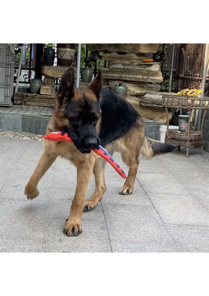 2-Sarı BOYUT-46CM Interaktif Köpek Oyuncak Yılan Şekli Köpek Çiğneme Oyuncakları Ses Cızırtılı Köpek Diş Fırçası Pet Molar Diş Temizleme Malzemeleri Köpek Yavrusu (Yurt Dışından) modelleri