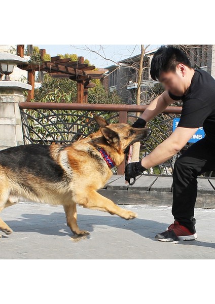 A3 Dayanıklı Köpek Eğitim Römorkör Savaş Interaktif Köpekler Jüt Isırık Yastık Kılıfı Çiğneme Oyuncakları Malinois Alman Çoban Pet Oyun Oyuncak (Yurt Dışından)