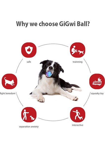 Sesli Dambıl G-Ball Serisi Köpek Topu Interaktif Güvenli Eğitim Köpek Oyuncakları Cızırtılı Toplar S/m Boyutu Köpek Diş Etleri Için 2,5 Inç Kabarık Çeşitli Renkler (Yurt Dışından)