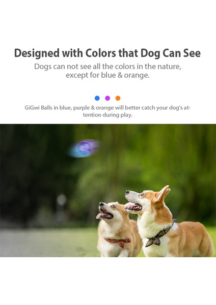 Sesli Dambıl G-Ball Serisi Köpek Topu Interaktif Güvenli Eğitim Köpek Oyuncakları Cızırtılı Toplar S/m Boyutu Köpek Diş Etleri Için 2,5 Inç Kabarık Çeşitli Renkler (Yurt Dışından)