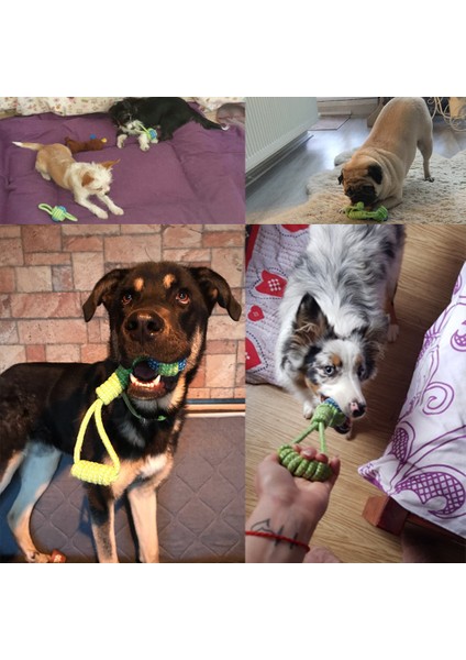 Stil-C 7/pcs Köpek Oyuncak Halat Topu Oyuncak Küçük Orta Köpekler Için Köpekler Için Açık Eğitim Oyuncak Diş Temizleme Römorkör Oyuncak Interaktif Düğüm Halat (Yurt Dışından)