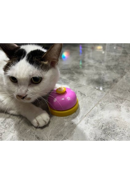 Kırmızı Mavi Evcil Hayvan Oyuncakları Çan Köpekler Için Kedi Eğitimi Interaktif Oyuncak Denilen Akşam Yemeği Küçük Çan Ayak Izi Halka Eğitmen Teddy Için Besleme Hatırlatma (Yurt Dışından)