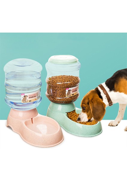 Set 4 Kedi Kase Köpek Kase Evcil Hayvan Besleme Kedi Su Kase Köpekler Için Evcil Hayvan Kaseleri Besleyici Çıkarılabilir 3.8l Pet Köpek Kedi Besleyiciler Kase Köpek Suluk (Yurt Dışından)