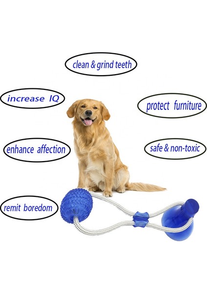 Yeşil Pet Oyuncaklar Vantuz ile Köpek Itme Oyuncak Tpr Topu ile Pet Diş Temizleme Çiğneme Kauçuk Köpek Oyuncakları Küçük Köpekler Için Kauçuk Köpek Oyuncak (Yurt Dışından)