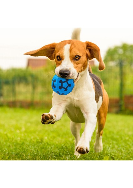 Yeşil Pet Köpek Oyuncak Kedi Yavrusu Pu Elastik Top Diş Temizleme Topu Eğitim Pet Diş Çiğneme Oyuncağı Topları Interaktif Evcil Hayvan Aksesuarları (Yurt Dışından) fırsatları