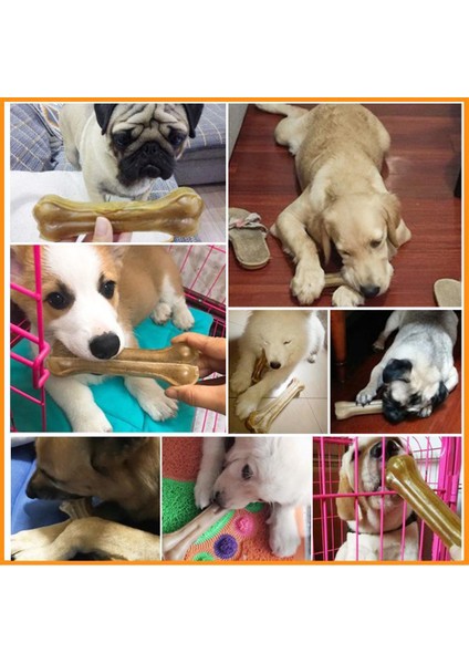 21 cm 1 Adet Doğal Inek Derisinden Yapılmış Köpek Çiğneme Kemik Oyuncak Güçlü Toksik Olmayan Anti-Isırık Köpek Çiğneme Oyuncağı Diş Temiz Oyuncaklar Pet Köpek Diş Bakımı Sopa (Yurt Dışından) indirimleri