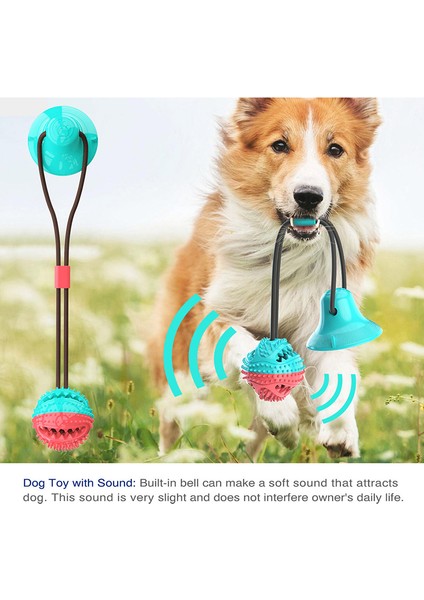 Mavi Molar Bite Köpek Oyuncak Dayanıklı Halat ve Vantuz ile Çiğneme Dişleri Çekmek Için Kendi Kendine Oynayan Tog Köpekler Için Dropship (Yurt Dışından) fiyatları