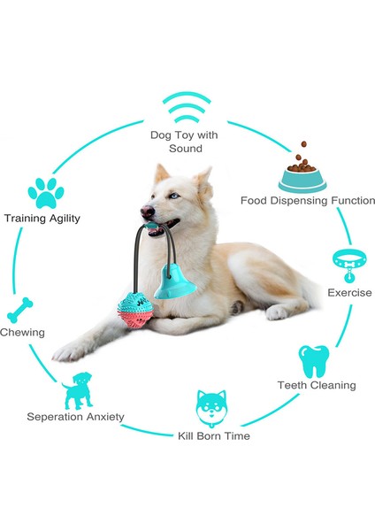 Mavi Molar Bite Köpek Oyuncak Dayanıklı Halat ve Vantuz ile Çiğneme Dişleri Çekmek Için Kendi Kendine Oynayan Tog Köpekler Için Dropship (Yurt Dışından) modelleri