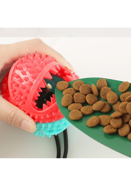 Mavi Molar Bite Köpek Oyuncak Dayanıklı Halat ve Vantuz ile Çiğneme Dişleri Çekmek Için Kendi Kendine Oynayan Tog Köpekler Için Dropship (Yurt Dışından) fırsatları