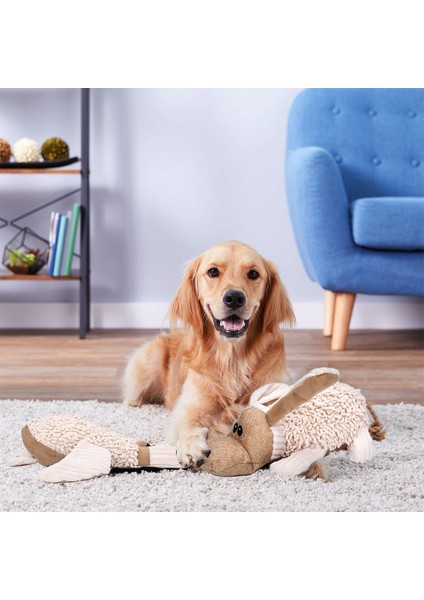 Ördek M Polar Köpek Cızırtılı Oyuncaklar Küçük Büyük Köpekler Için Çiğneme Oyuncakları Hayvan Şekli Köpek Squeaky Oyuncak Evcil Hayvan Ürünleri Için Köpek Squeaker Fransız Bulldog (Yurt Dışından)