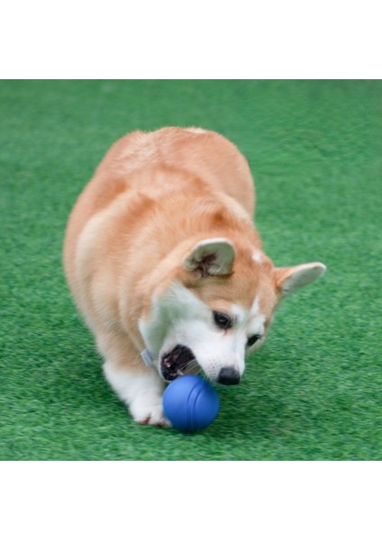 Turuncu 7 cm Pet Köpek Oyuncakları Kabarık Top Bite Katı Top Kauçuk Bite Oyuncak Top Açık Fırlatma ve Kurtarma Eğitimi Pet Oyuncaklar Köpek Aksesuarları (Yurt Dışından)