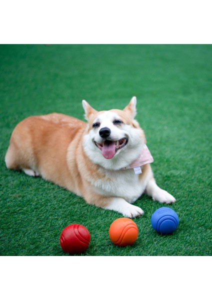 Turuncu 7 cm Pet Köpek Oyuncakları Kabarık Top Bite Katı Top Kauçuk Bite Oyuncak Top Açık Fırlatma ve Kurtarma Eğitimi Pet Oyuncaklar Köpek Aksesuarları (Yurt Dışından)