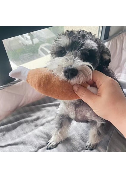 Kemik Baget Resim Olarak Peluş Baget Pet Çiğneme Oyuncakları Köpekler Kediler Için Gotas Squeaker Schnauzer Yavru Köpek Oyuncak Temizleme Dişleri Mascotas Aksesuarları Kemik Yıldızı (Yurt Dışından)