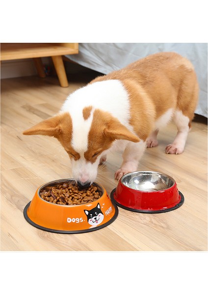 Kırmızı Xl 30CM Hayvan Mama Kabı Paslanmaz Çelik Renk Çıkartması Kaymaz Köpekler Mama Kaseleri Dayanıklı Anti-Düşme Kedi Köpek Drinkerfeeder Corgi Husky Evcil Hayvan Malzemeleri (Yurt Dışından) fiyatları