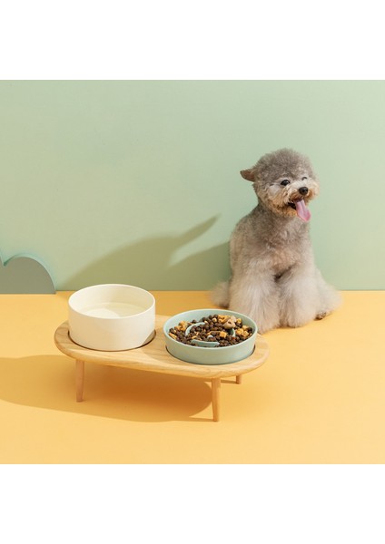 Yükseltilmiş Yeşil Çap 15,5 cm Küçük Köpek Yavaş Besleme Kasesi Yükseltilmiş Kedi Içme Ahşap Standlı Seramik Kaseler Evcil Hayvan Yutmayı Önleyici Besleme Maması Su Tabağı (Yurt Dışından)