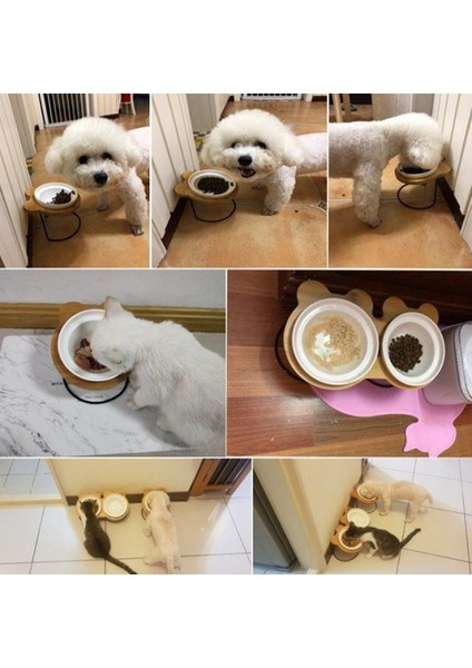 Siyah Balık Kemiği S Sıcak Satış High-End Hayvan Mama Kabı Bambu Raf Seramik Kedi Köpekler Kediler Için Kaseler Besleme ve Içme Kaseler Evcil Hayvan Besleyici Aksesuarları (Yurt Dışından) fiyatları